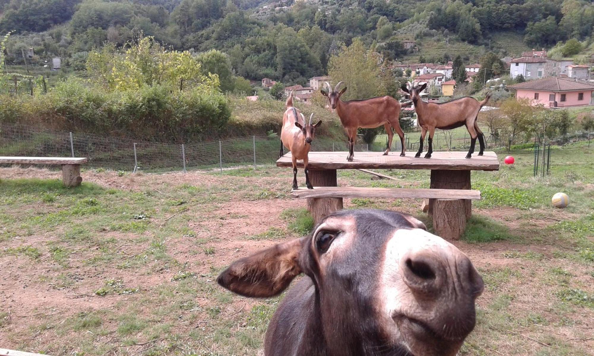 La Finestra Sulla Valle Valdottavo Esterno foto